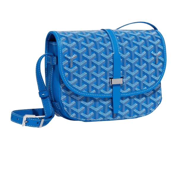 GOYARD BELVEDERE BAG PM